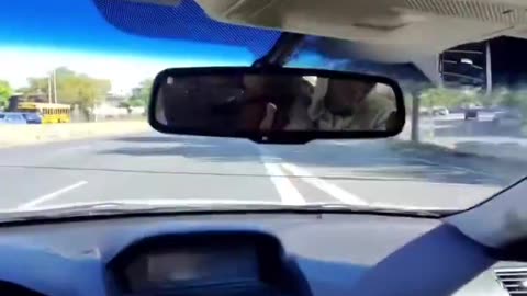 Zero Regard For Life