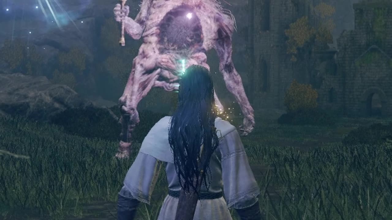 Fighting a boss like a pro in Elden Ring