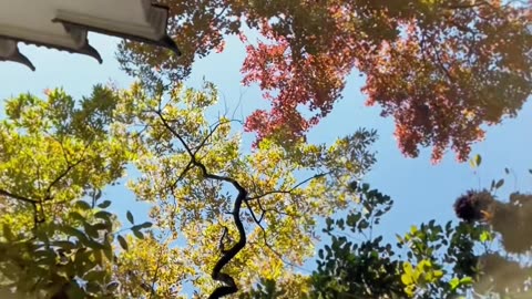 🤯🧼 You'll Never Use Soap the Same Way Again After This! | LifeHacksDaily