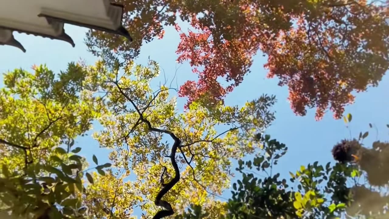 🤯🧼 You'll Never Use Soap the Same Way Again After This! | LifeHacksDaily