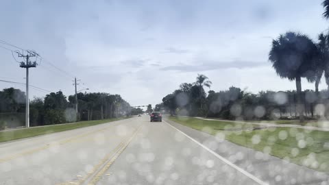 Free Bird Dashcam