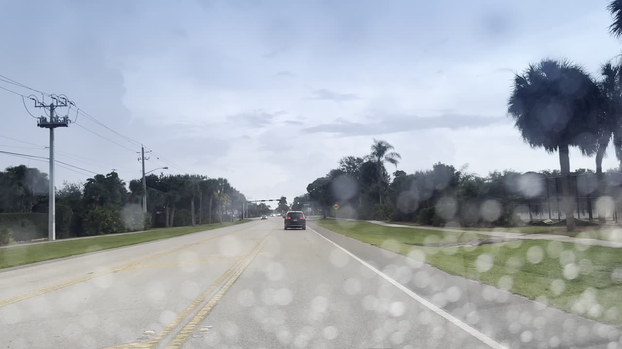 Free Bird Dashcam