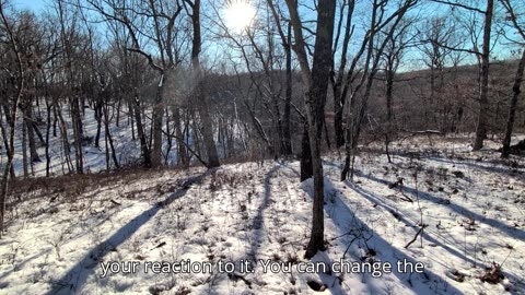 Weekly Energy Vibes Jan 5-11, 2026