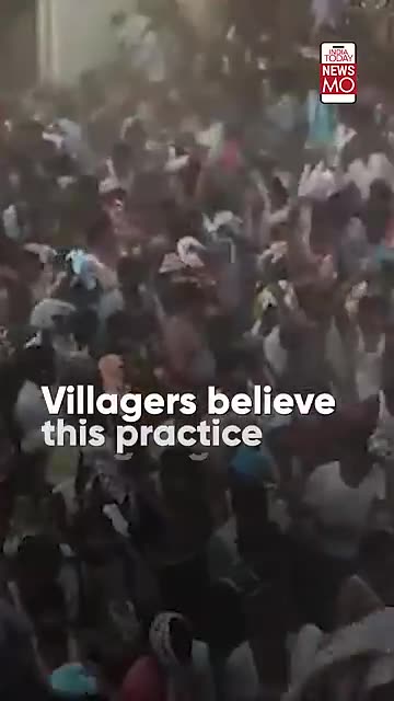 Why Does This Tamil Nadu Village Throw Cow Dung To End Diwali