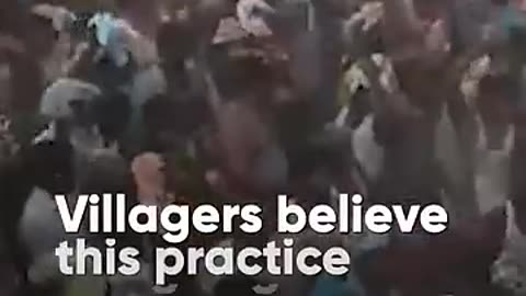 Why Does This Tamil Nadu Village Throw Cow Dung To End Diwali