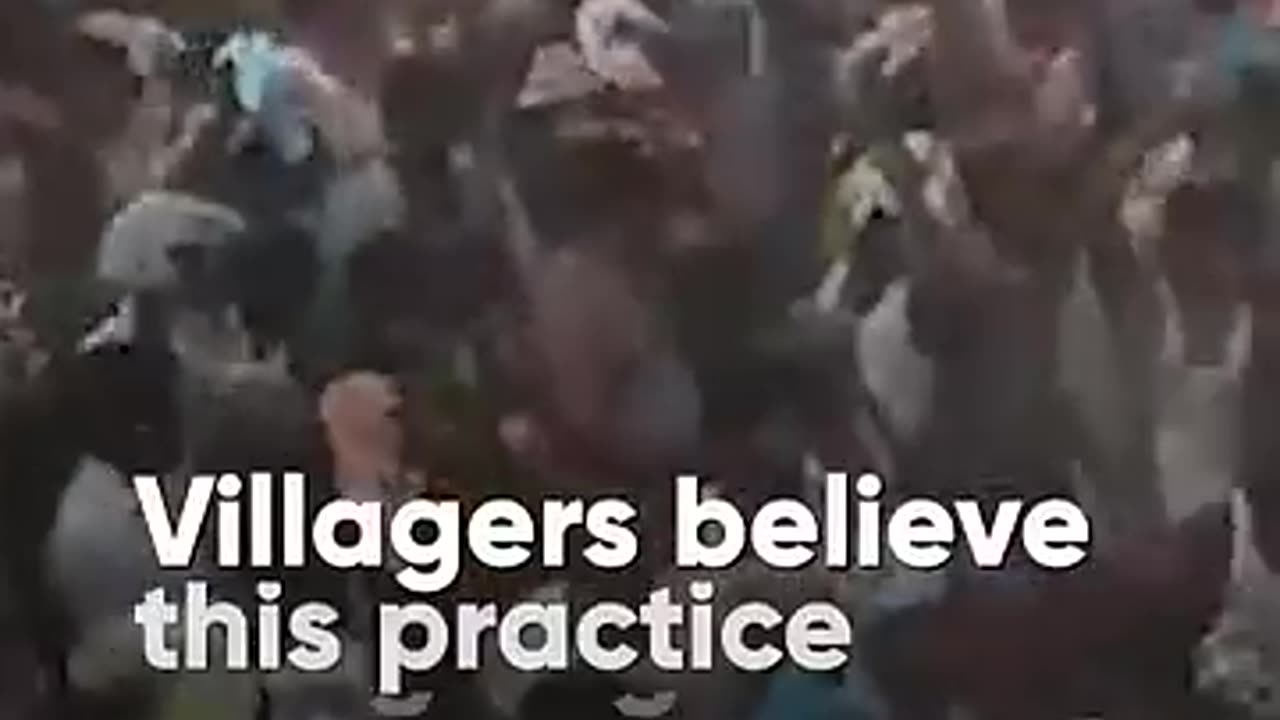 Why Does This Tamil Nadu Village Throw Cow Dung To End Diwali