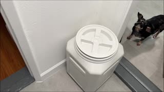 Review Vittles Vault Pet Food Storage Container