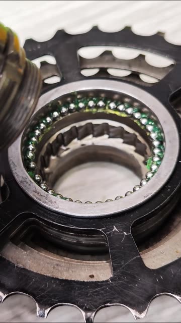 Lubricate the bicycle freehub mechanism.