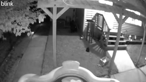 😱👻 You Won't Believe This Dark Shadow on Security Camera! | TheHauntingHour