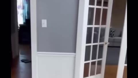 👻👽 Scary Clip: #ghostlytoksa Oujia Board Catches Ghosts! | TheHauntingHour