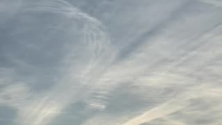 Rothschild BlackRock WEF Power.