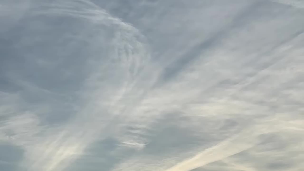 Rothschild BlackRock WEF Power.