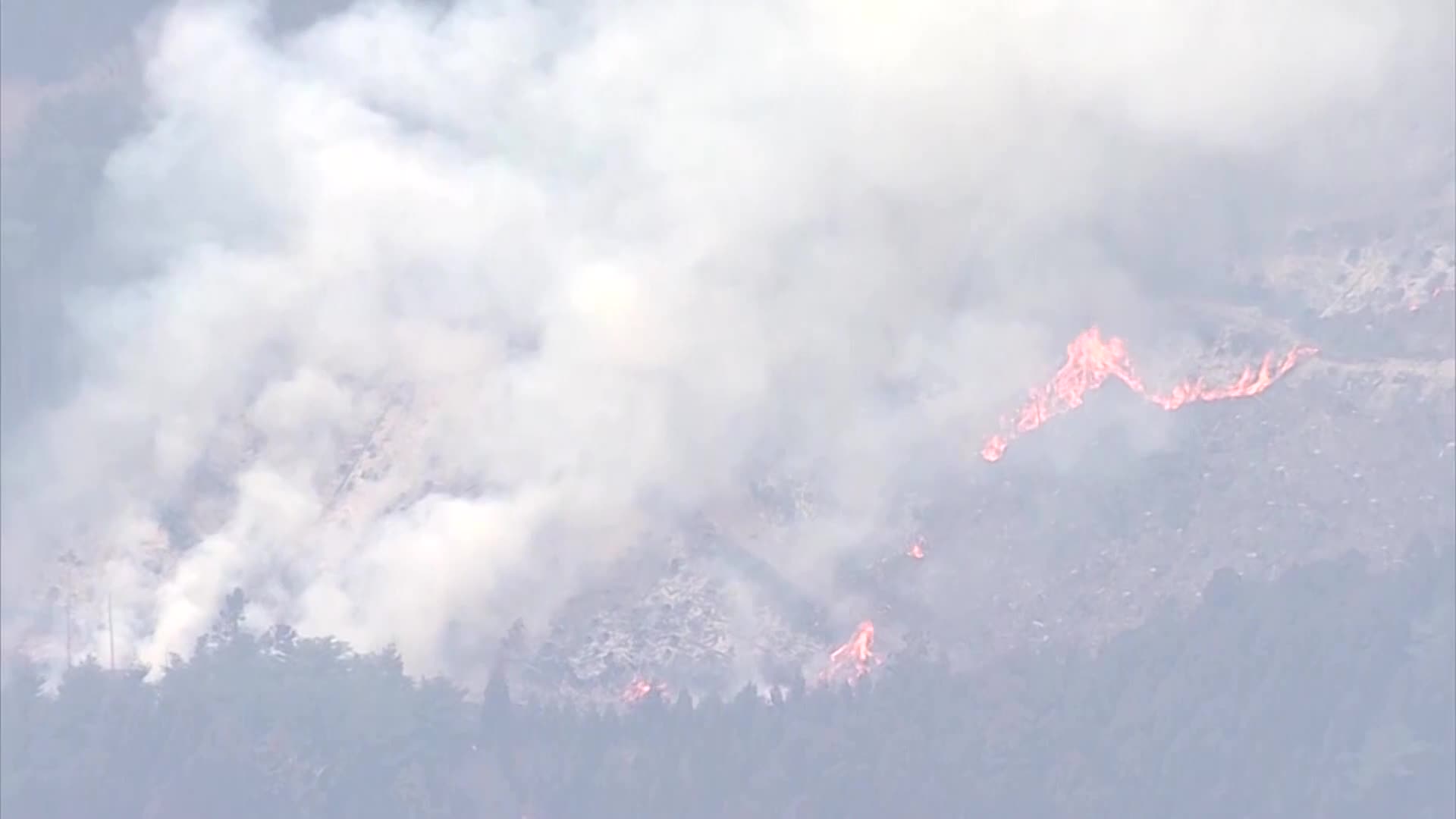 Japanese evacuees worry as worst wildfire in decades burns