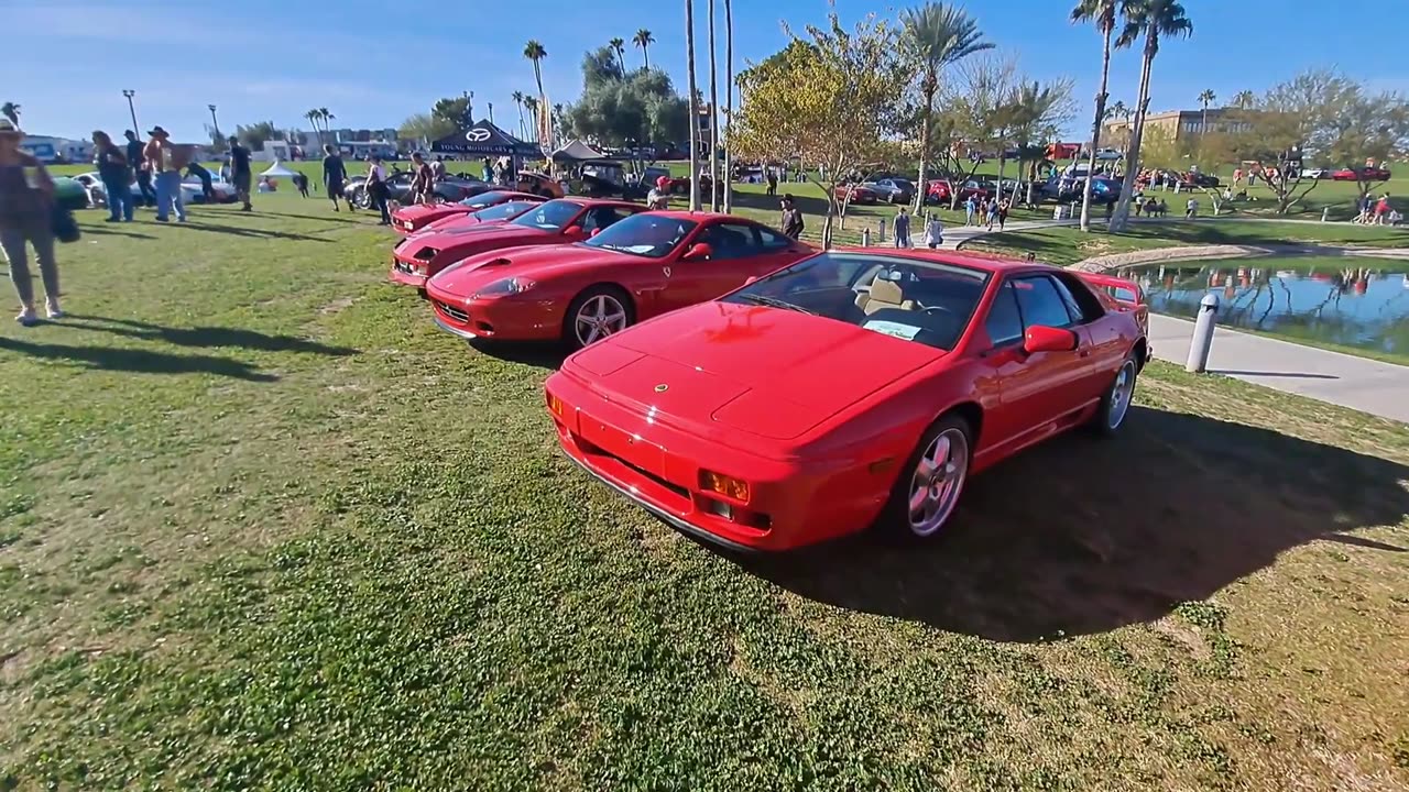 Lamborghini's Ferrari's and Porsche