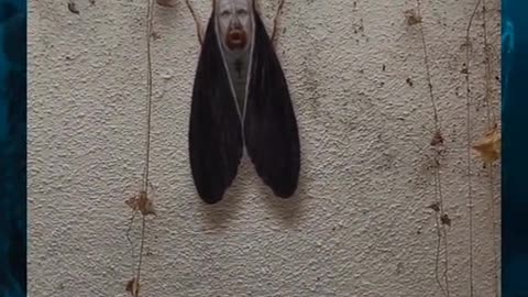 😱👻 Weird Bug You Won't Believe What They Captured on Camera! GhostlyToksa | TheHauntingHour