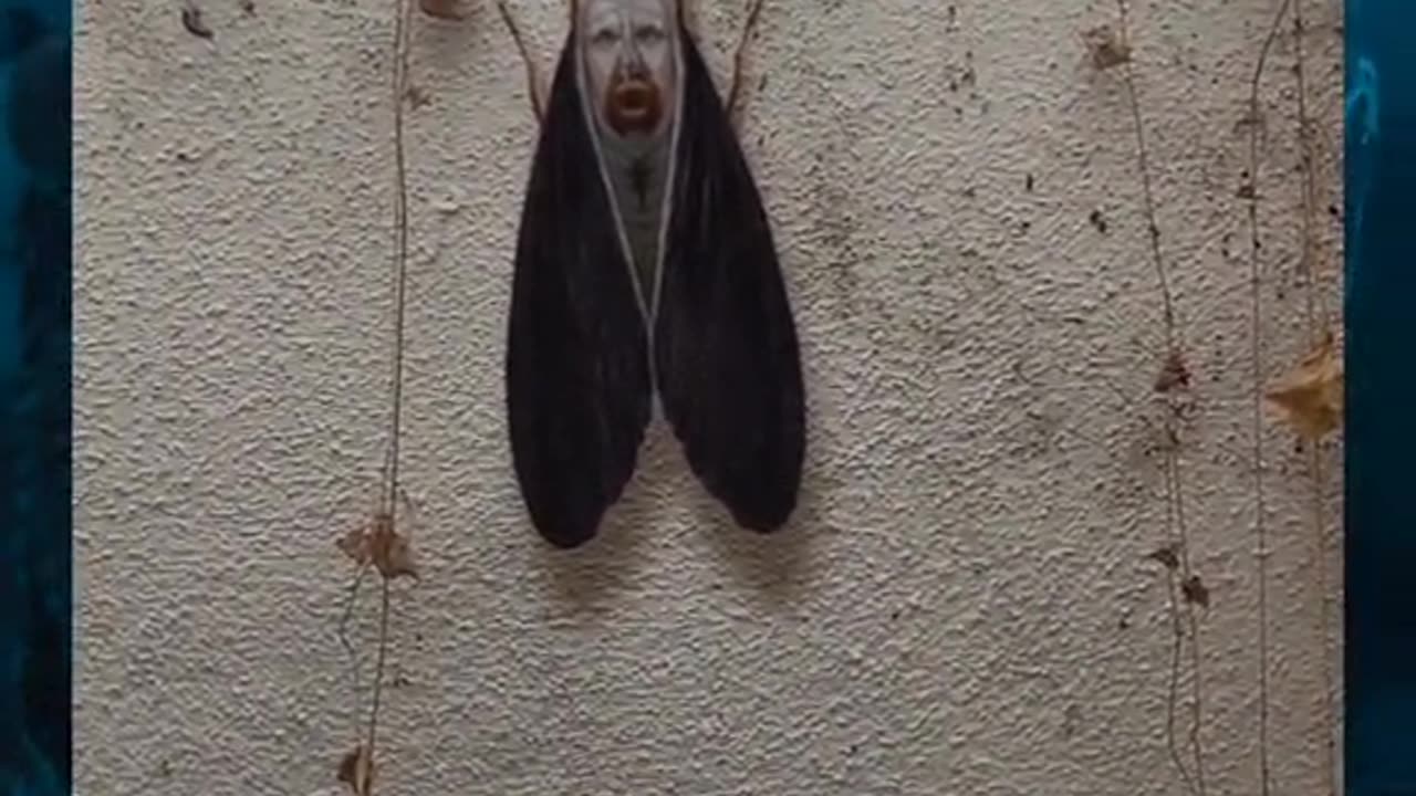 😱👻 Weird Bug You Won't Believe What They Captured on Camera! GhostlyToksa | TheHauntingHour