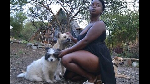 OFF-GRID LIVING, grooming dogs,making pizza in a diy pizza oven