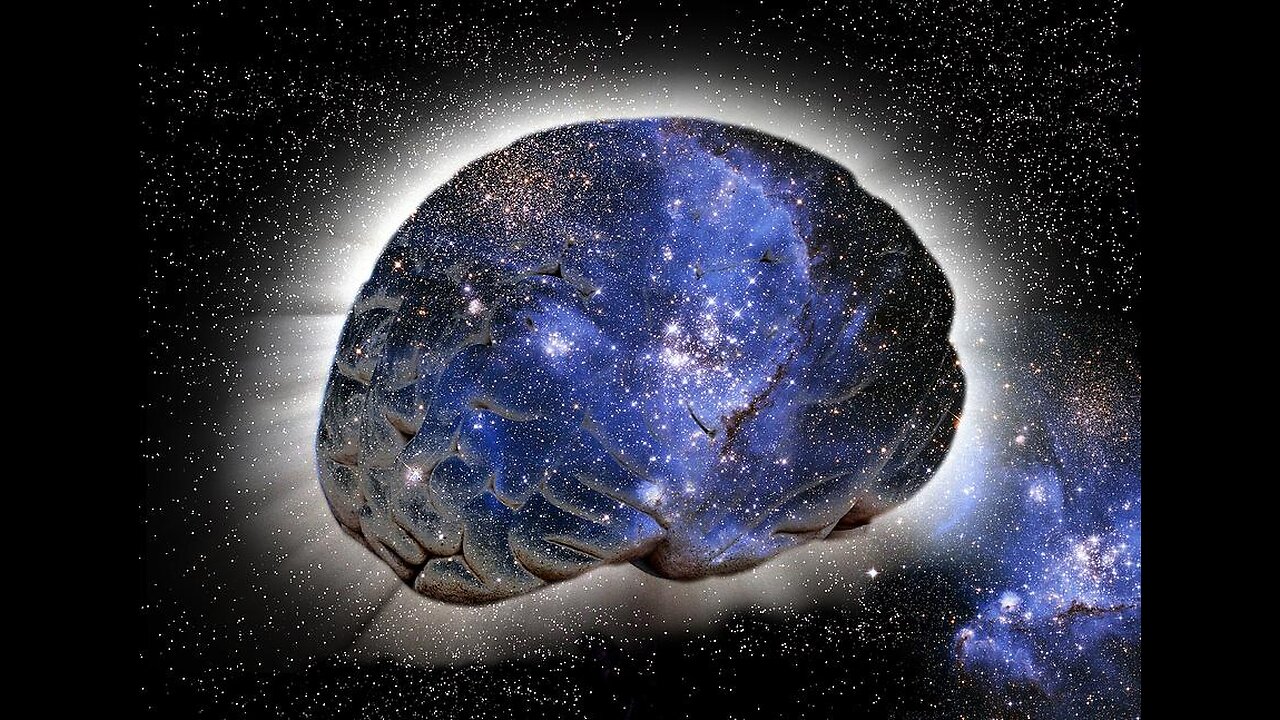 MGTOW Talks: Professor Mills On Aetherism And Feminist Academia