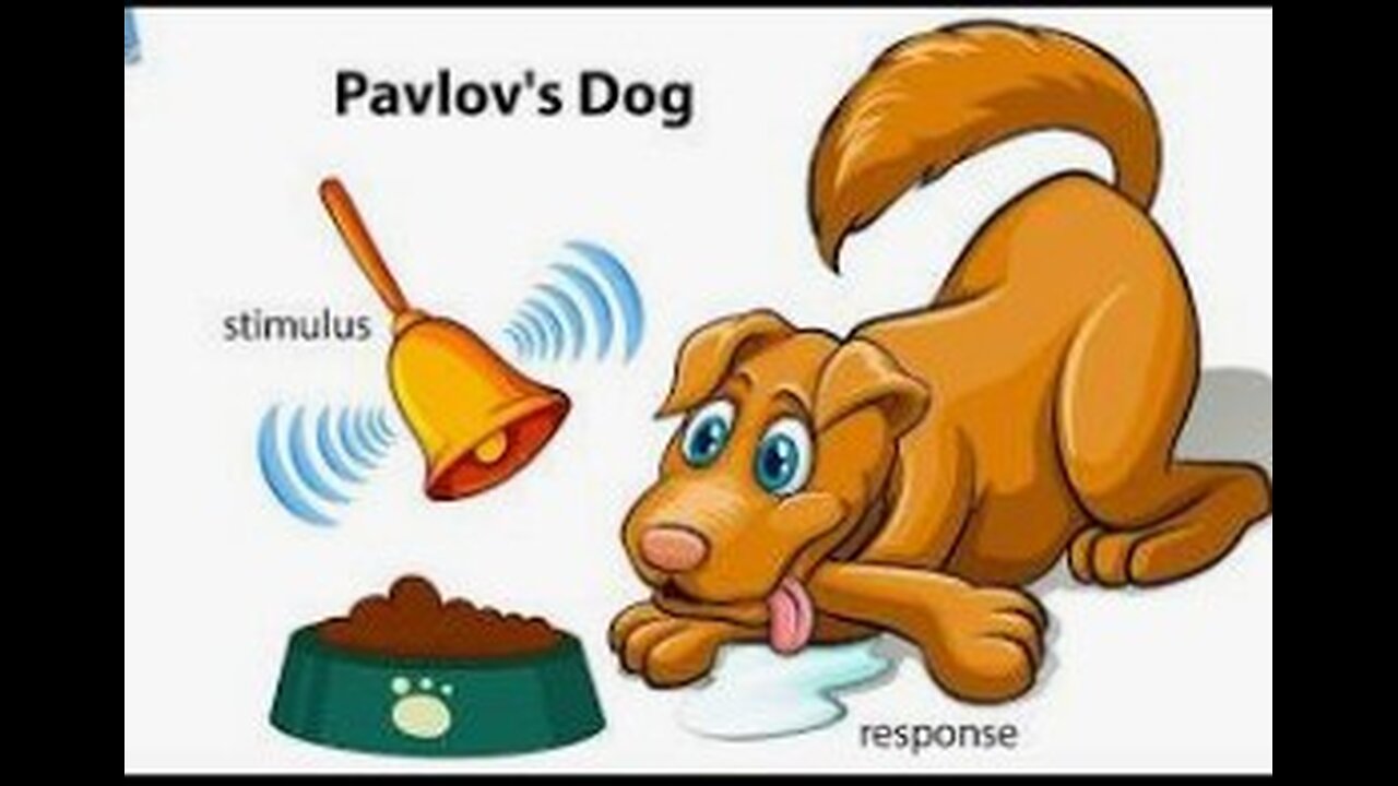 Kneegrows are Pavlovian Dogs in Response to President Trump's Black History Month Symbolism!