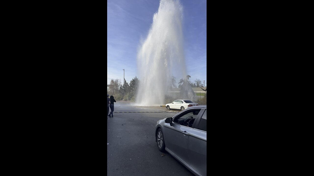 Hit and run on a fire hydrant behind a Walmart