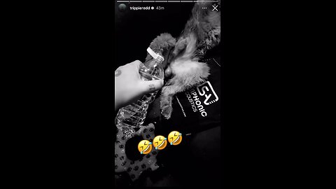 Trippie Redd Waters His Dog!