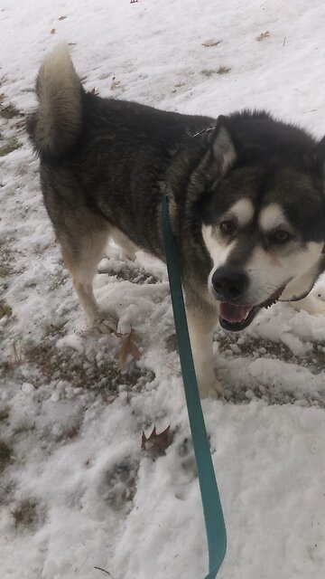 Wednesday December 17, The father sets those dates.