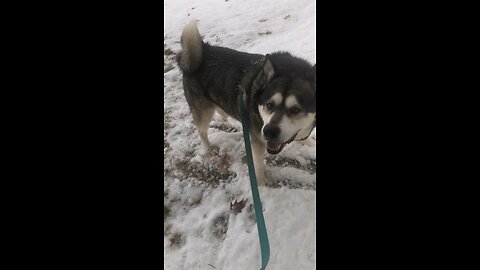 Wednesday December 17, The father sets those dates.