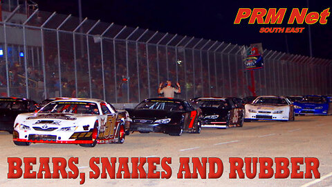 Bears, Snakes and Rubber