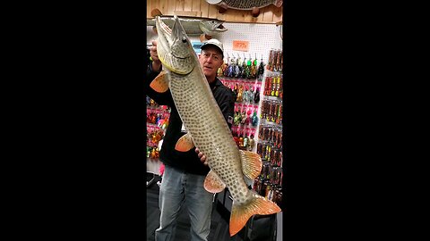 Fall presentations for huge musky