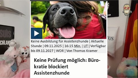 CHRUPALLA stellt hilflosen Journalisten BLOß! 💥⚡️ | Markus Lanz #PolitSatire