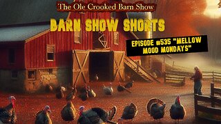 “Barn Show Shorts” Ep. #535 “Mellow Mood Mondays”
