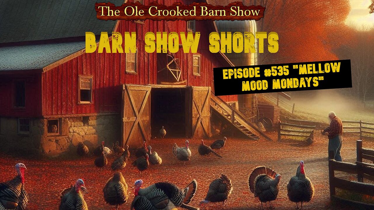 “Barn Show Shorts” Ep. #535 “Mellow Mood Mondays”