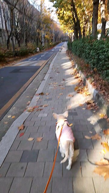 20251119. I Believe God.