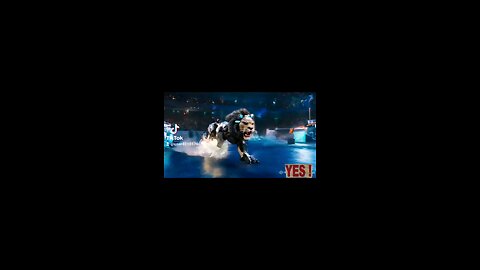 Lion 🦁 Vs Tiger 🐅 Battle