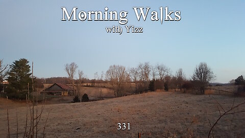 Morning Walks with Yizz 331