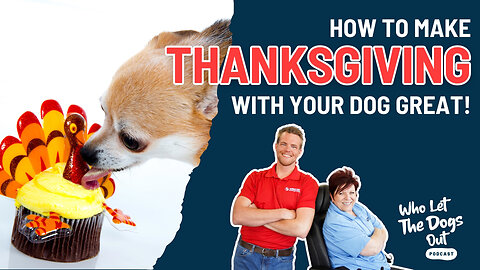 How to Make Thanksgiving With Your Dog Great — Dog Talk Ep. 083