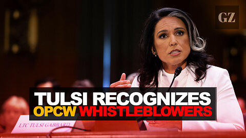 Tulsi airs forbidden Syria truths before national audience