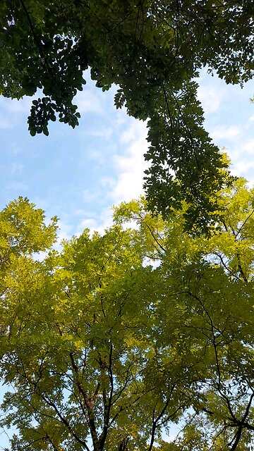 20251029. God created the Heaven and the earth.