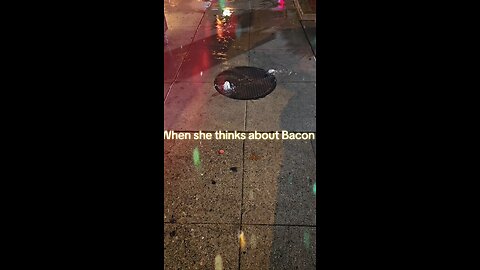 She really loves bacon 🥓
