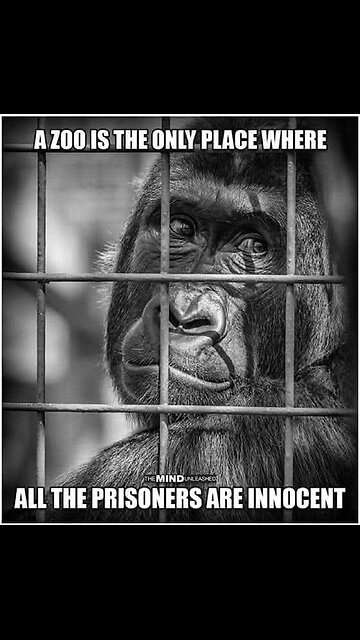 This man explains perfectly the phenomenon of,