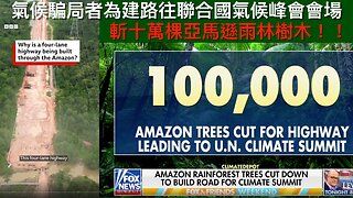 特朗普每人派兩千關稅紅利/氣候老千為做show斬十萬棵樹/BBC權宜炒高層/MLB打假波/老侵特赦77自己友?/有望今週止停擺/摩根大通被查拒接老侵生意｜每日美國時評 2025年11月11日