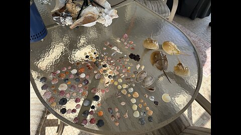 Beach Finds 12/12/2025 | 4K