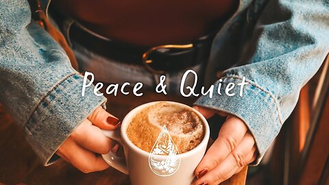 Peace & Quiet ☕ • A Gentle Acoustic/Indie Folk Playlist