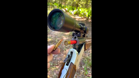 1 Trigger 2 Guns: The .410 / 22 magnum combo