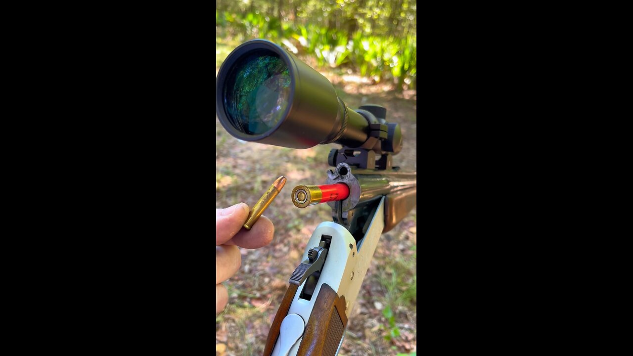 1 Trigger 2 Guns: The .410 / 22 magnum combo