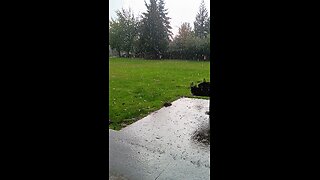 TORRENTIAL DOWNPOUR 🌧