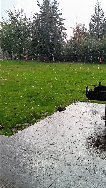 TORRENTIAL DOWNPOUR 🌧