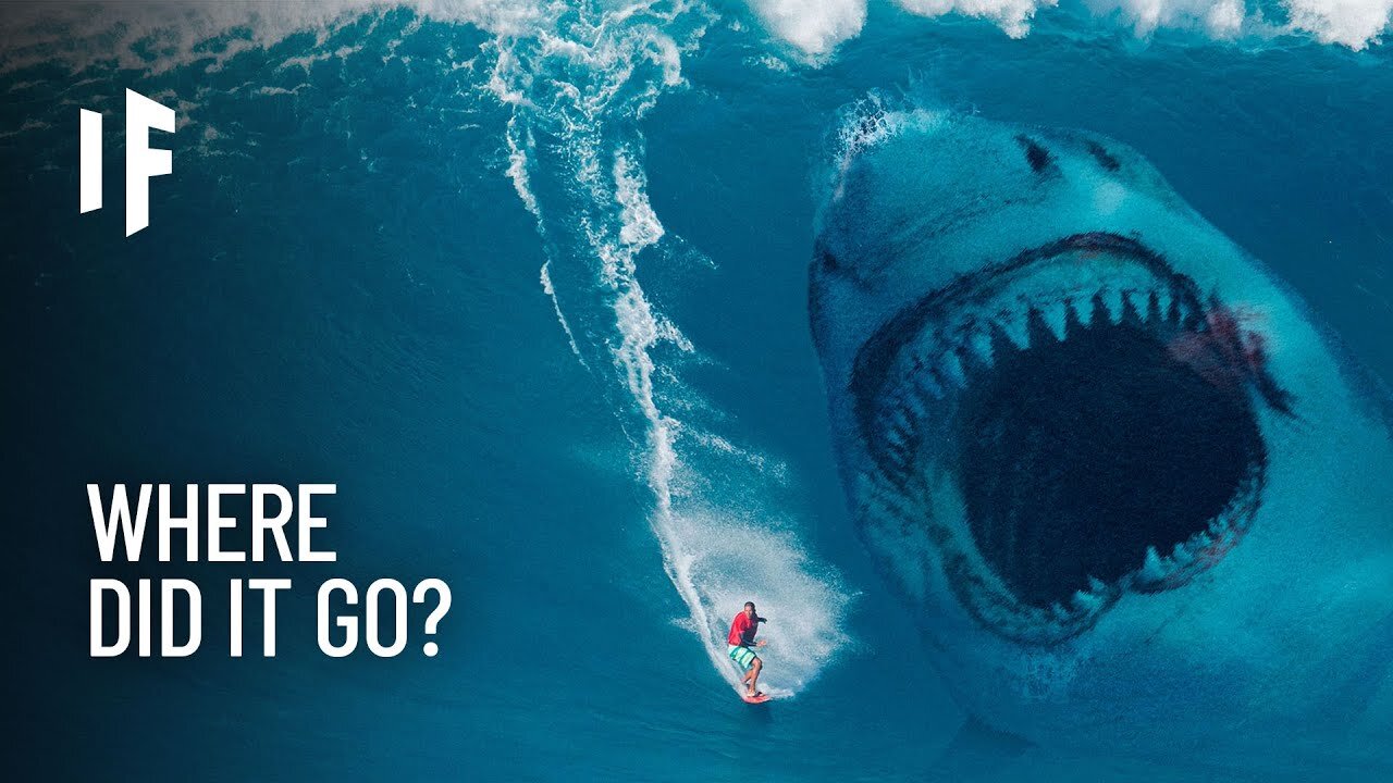 What If the Megalodon Shark Never Went Extinct?