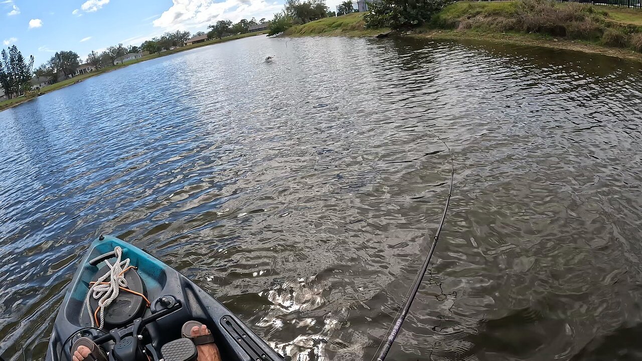 Spinnerbait Action