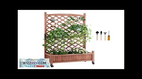 VEVOR Raised Garden Bed with Trellis 30" x 13" x 61.4" Outdoor Review